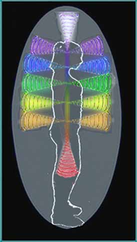 12 Chakras on the 1st Layer of the Aura