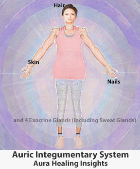 Auric Integumentary System - Aura Healing Insights