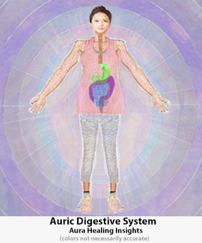 Auric Digestive System Aura Healing Insights