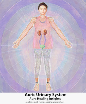 Auric Urinary System Aura Healing Insights