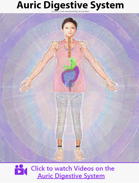 Auric Digestive System - Aura Healing Insights - video category