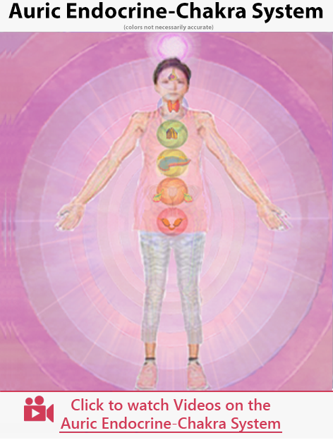 Auric Endocrine-Chakra System - Aura Healing Insights - video category