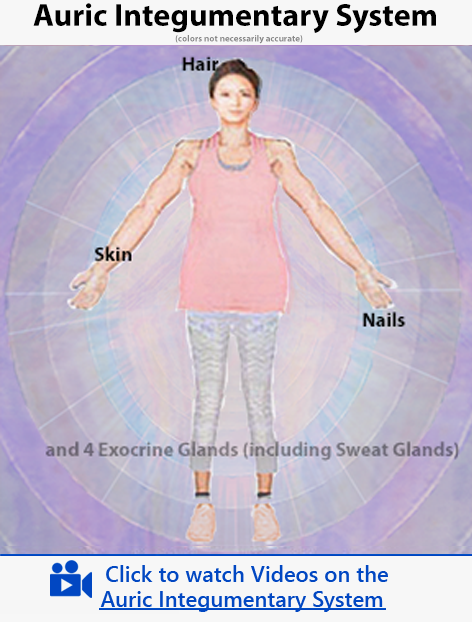 Auric Integumentary System - Aura Healing Insights - video category