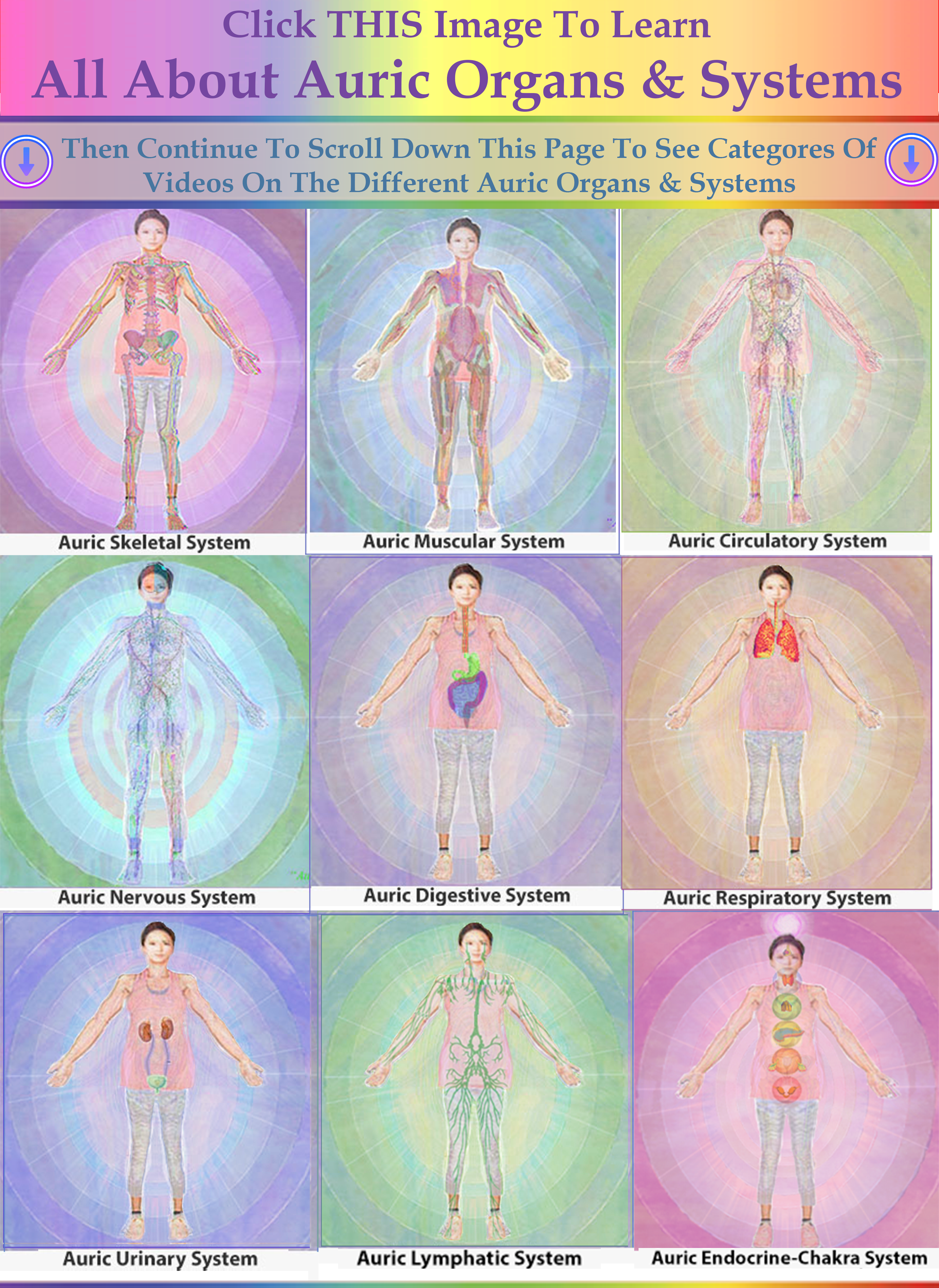 Auric Organs and Systems Combined Image 