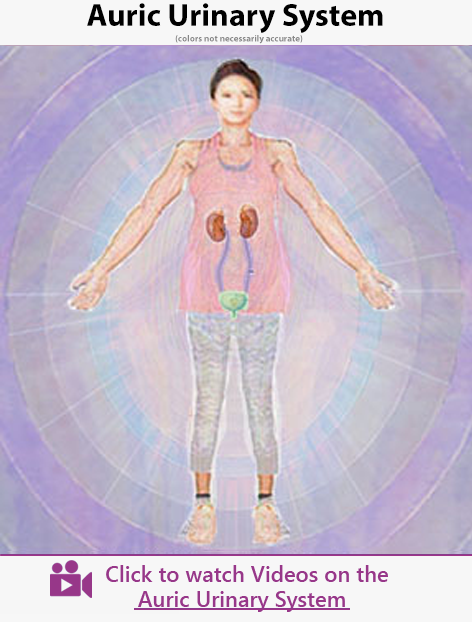 Auric Urinary System - Aura Healing Insights - video category