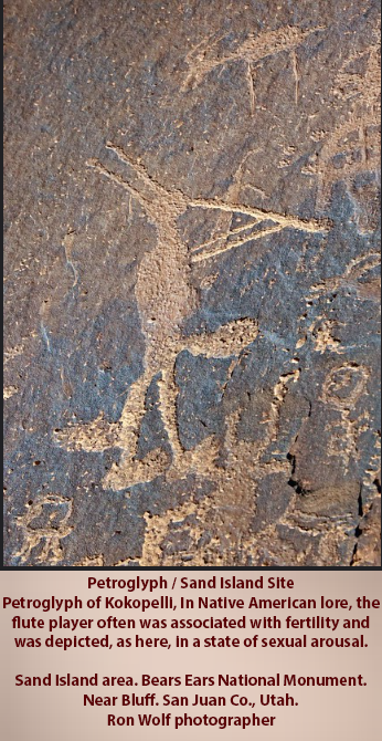 Kokopelli aroused petroglyph 1