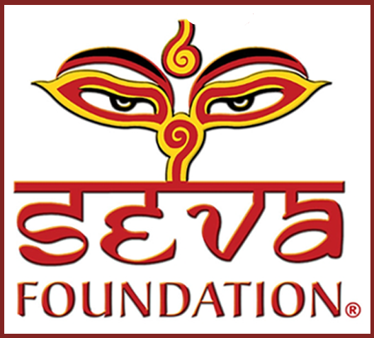 Seva Foundation image