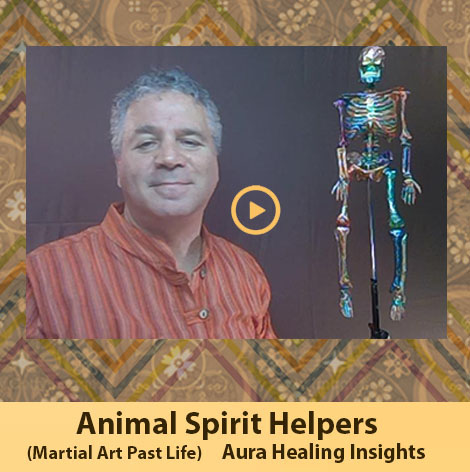 Animal Spirit Helpers - Martial Art Past Life 