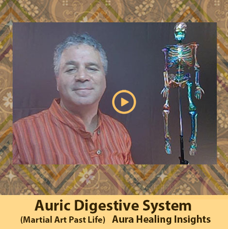 Auric Digestive System- Martial Art Past life - Aura Healing Insights