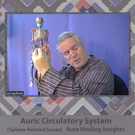 Auric Circulatory System - Spleen Related Issues - Aura Healing Insights